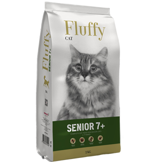 Fluffy Cat