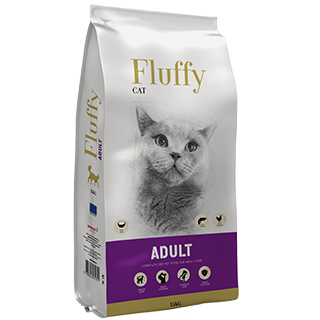 Fluffy Cat