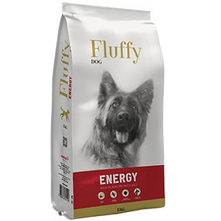 Fluffy Dog