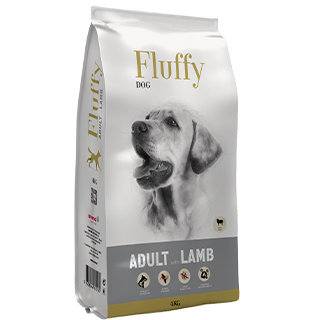 Fluffy Dog